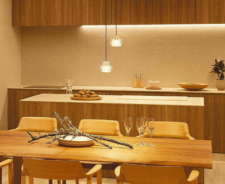 楽天市場】大光電機 直付埋込取付兼用ペンダント DPN41492YG 工事必要  