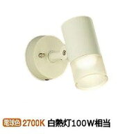 大光電機 アウトドアスポット DOL4599YW 工事必要
