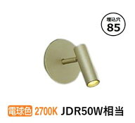 大光電機 埋込型スポットライト 屋内用 DSL5493YGG 工事必要