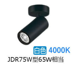 [J[i d@ V_[X|bg LZS9113NBF5E _CN65W  4000K ϔz F HKv