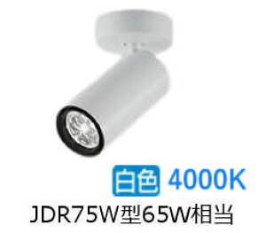 [J[i d@ V_[X|bg LZS9113NWF5E _CN65W  4000K ϔz F HKv