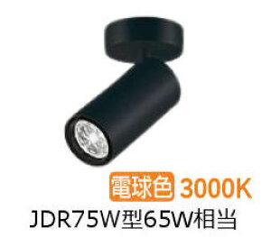 [J[i d@ V_[X|bg LZS9113YBF5E _CN65W  3000K ϔz F HKv