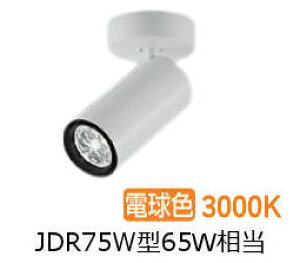 [J[i d@ V_[X|bg LZS9113YWF5E _CN65W  3000K ϔz F HKv