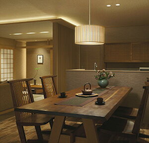 ����d�@ �a���y���_���g DPN39781YE �d���F