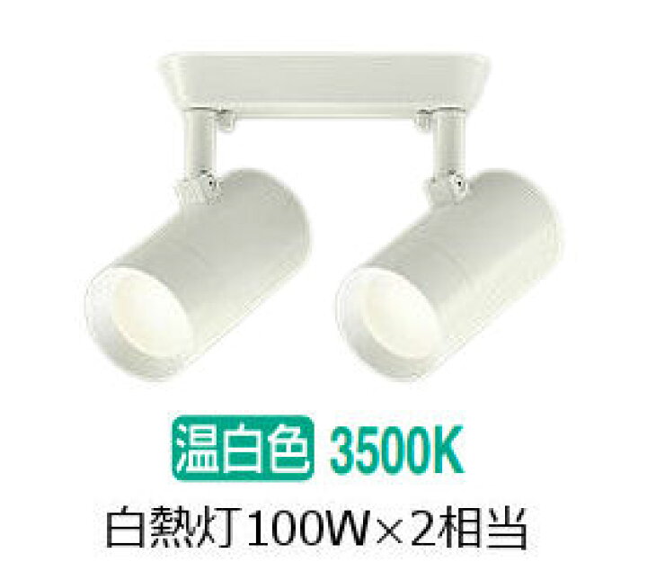 楽天市場】大光電機 スポットライト DSL-5329AWE 白熱灯100W×2灯相当 