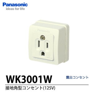 �yPanasonic�z�ڒn�p�^�R���Z���g(125V)WK3001W