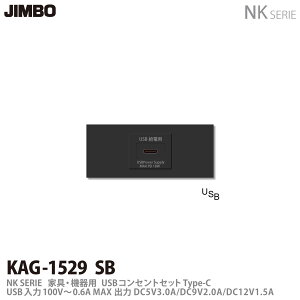 yJIMBOz_ۓdNKV[YzƋE@pRZgZbgNKV[YKUSBRZgZbg(Type-C)KAG1529 SB