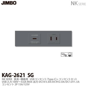 yJIMBOz_ۓdNKV[YzƋE@pRZgZbgNKV[YKUSBRZg(Type-C)+RZgKAG-2621 SG