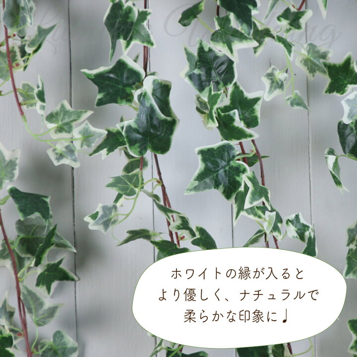 楽天市場 アイビーガーランド 1 8m アイビー フェイクグリーン 人口観葉植物 造花 北欧 おしゃれ 葉 グリーンガーランド ガーランド インテリア シルクフラワー ウェディング ウエディング 結婚式 ウェルカムスペース 飾り 装飾 前撮り アイテム 飾り付け おうち 楽天市場 アイビーガーランド 1 8m アイビー フェイクグリーン 人口観葉植物 造花 北欧 おしゃれ 葉 グリーンガーランド ガーランド インテリア シルクフラワー ウェディング ウエディング 結婚式 ウェルカムスペース 飾り 装飾 前撮り アイテム 飾り付け おうち