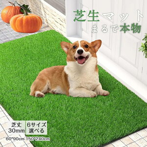 ���O �Ő��}�b�g �ŏ�30mm �l�H�� �I�[���V�[�Y�� �� �K�[�f�� ���� ���O ���A�� �T�}�[ �����` �����` �O���[�� �t�� �x�����_ �q������ �ʔN ���r���O �V���M�[ �y�b�g DIY �h���΍� ����~�� 