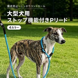 軽量リード 犬 犬用リード 小型、中型、大型犬用 ロングリードドッグリード 訓練用 お出かけ用リード 持ちやすい ペット用品 おしゃれ 手に優しい かっこいい 丈夫で安心 ナイロン素材 軽量 全4色 カラバリ豊富 120cm スタンダードリード ドッグリード 散歩 犬用品