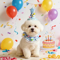3点セット 数字付き 犬 誕生日グッズ スタイ 犬 誕生日帽子 猫 誕生日 ペット プレゼント 誕生日帽子 よ…