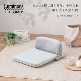 【公式】＼腰を支える背もたれ座布団／ 背もたれ付き 座布団 椅子用クッション 椅子用座布団 スリム コンパクト 軽量 軽い シンプル おしゃれ かわいい ベロア くすみカラー ベージュ ライトグレー ルミナス ドウシシャ ESK
