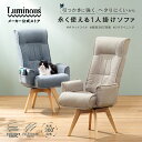 P5★7/18-20限定 ＼新商品／【公式】ペットの引っかきに強いソファ 1人掛け 高座椅子 ダイニングチェア 回転 ひとりが…