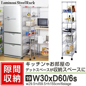 スチール製 すきま収納 隙間収納 30cm/6段 [キャスター付 キッチンラック 隙間収納│本棚 薄型│すきま収納 マガジンラック]