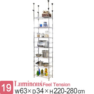 Luminous ~iX cX ˂胉bN X`[bN ~iXtB[ ς XbN |[a19mm W60D30 [Ƌ ^bN X [I X`[I ]|h~ 63×s34×