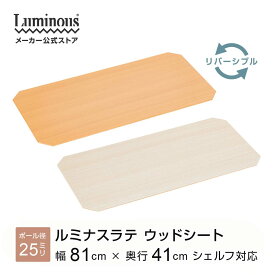 ラテ専用パーツ パーツ 専用 幅80 奥行40 ラック 収納ラック おしゃれ リバーシブル スチールラック キッチンラック シェルフ レンジラック 棚 マガジンラック ランドリー 木目 幅79.5 奥行39 厚み0.5cm EHE8040S ホワイト 白 グレー ベージュ