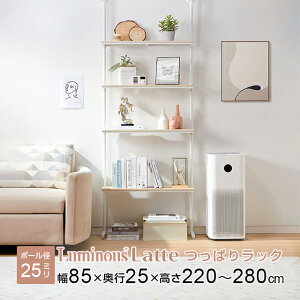 �y�G���g���[��P5�{�z Luminous ���c�X ���b�N �˂����� �ǖʎ��[ 4�i ��80 ���s25 ������� �X���� �E�H�[�����b�N �X�`�[�����b�N �|�[���a25mm ���ς� �ȃX�y�[�X ���_�[���b�N �V�� �ǖʃ��b