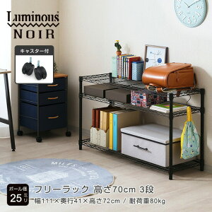 Luminous ~iX cX m[  bN X`[bN 110 3i s40 70 X`[VFt I [bN  ubN 111×s41×72cm NO1170-3 X {I XbN 
