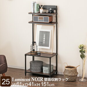 Luminous ~iX X ~iXm[  bN X`[bN 60cm 4i s40cm X`[VFt [ I [bN ǖʎ[  X ubN  X I[vbN