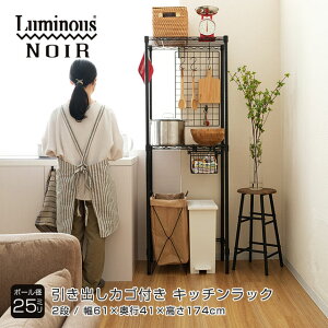 Luminous ~iX X ~iXm[ Lb`bN  Lb`[ 60 2i s40 X WbN ъ HI W  ubN 61×s41×174cm NO6017-2