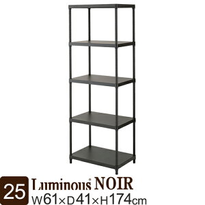 �y�����z ���~�i�X ���~�i�X�X �m���[�� ���b�N������� �X�`�[�����b�N ��60cm �J���[���b�N �m���[�� �\���b�h�V�F���t �t���[���b�N/ 5�i ��60cm ��61 ���s41 ����174 NO6018-5SD �V���� �C���e��