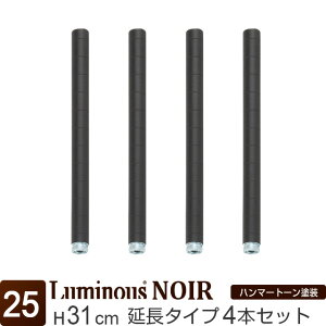 Luminous ~iX X ~iX m[ bN p[c |[ 30  |[ 4{Zbg  ubN  |[a25mm X`[bN J[bN ^ Ɩp [ I [