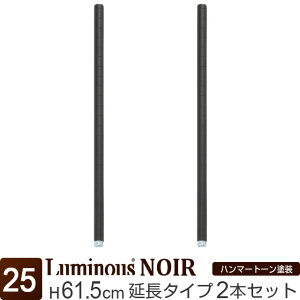 Luminous ~iX X ~iX m[ bN p[c |[ 60  |[ 2{Zbg  ubN  |[a25mm X`[bN J[bN ^ Ɩp [ I [