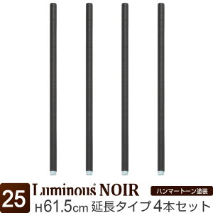 Luminous ~iX X ~iX m[ bN p[c |[ 60  |[ 4{Zbg  ubN  |[a25mm X`[bN J[bN ^ Ɩp [ I [