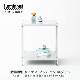 全品P10倍★10/1限定 【公式】 モジュールラック ステンレス風 モジュール 家具 ディスプレイラック インテリアラック オープンラック スチールラック 収納 韓国 モダン シンプル 防さび キャスター付き 幅60 奥行45 2段 高さ70 プレミアム ルミナス ドウシシャ ZSH-60702
