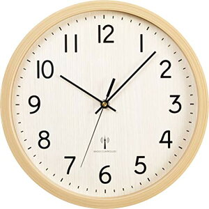 �A�C���X�v���U �|�����v ���^ �y�� ���a30cm �i�`������ PWCRR-30-M