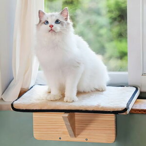 Petsfit Lxbh pnbN LnbN ؐ 肵\ p LbgEH[N  EBhExbh 