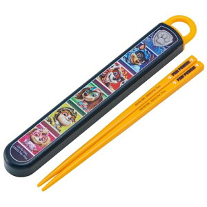 XP[^[(Skater) ٓ Zbg  16.5cm qp RۉH pEEpg[ [r[ J₷XCh { A