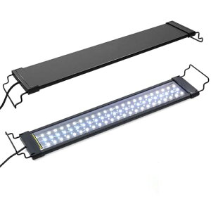 Cg LEDCg Ɩ ANAECg Cgled 24/7ό 75-90cm 10iK邳 3FLED