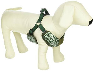 yeBI (Petio)  xXgH O[ M TCY