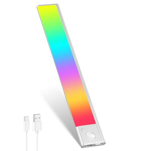 lZT[Cg LEDZT[Cg 40cm o[Cg JtF iK Type-C [dCg KiCg 120°