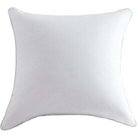 AYO クッション 中身 50×50cm 単品（他のサイズもある） 潰れない ソファークッション ヌードクッション 圧倒的ボリューム感 背もたれ