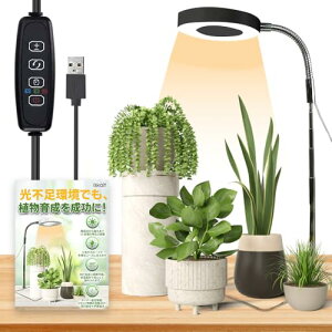 ISKALT A琬Cg LED ͔|Cg ApCg ϗtA  360°Sʒ 莞@\i3H / 9H / 12H