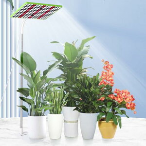 JCBritw 100W �A���琬���C�g�X�^���h�t�� ������ �t���A LED�A�����C�g�w�̍����A���p �����͔| �c�؍͔| ���ԐA���͔|�������k��