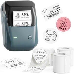 NIIMBOT B1 ���x�����[�J�[ �X�}�z ���x�����C�^�[�{��+3�����x���t�� ���M���x�����C�^�[ �l�D�v�����^�[ Bluetooth�ڑ� ��