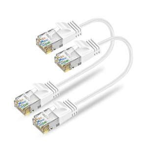 Ankuly Cat6A LAN�P�[�u�� �Z�������P�[�u�� 0.3m 2�{�Z�b�g RJ45�R�l�N�^ 10Gbps �T�[�o�[ ��Ɨl���� �L���P�[