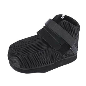 AOIREMON �M�v�X�V���[�Y �ܐ�J�o�[�t�L �Б�1�� ���E���p ���X�g�u�[�c �p��V���[�Y ���� ���s�T�|�[�g 20-30cm