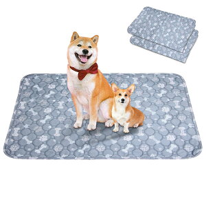 􂦂ybgV[c Toyuxe ybgV[c 􂦂 2Zbg ~ V[cCh V[g ybg ybgV[c L ybg