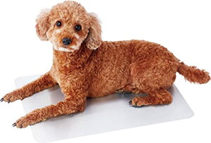 yeBI (Petio) Lp}bg N[A~V[gHNZ L