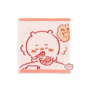  chiikawa  ^InJ` sN pC  TCY 20×20cm 41-1180060