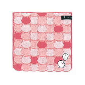 (Chiikawa)  ^InJ` sN pC XJ  41-1060080 25×25cm