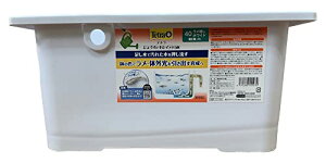 eg (Tetra) 傤ŃLC_J 40 zCg