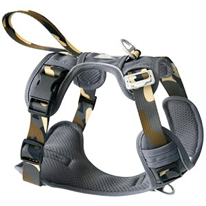 JC HOUSE  n[lX ^ y h~ u񂪊J܂v ȒPE \tg p SȂ TCY 3M