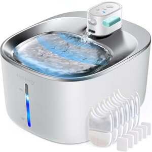 FEELNEEDY L  R[hX [d 4L YtB^[6t X}[gybgpz ZT[ 쌟m 3̋