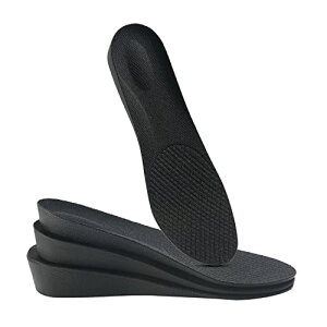 C\[ gAbv V[Nbg ~ Ռz ʋC L r 1gi2024j